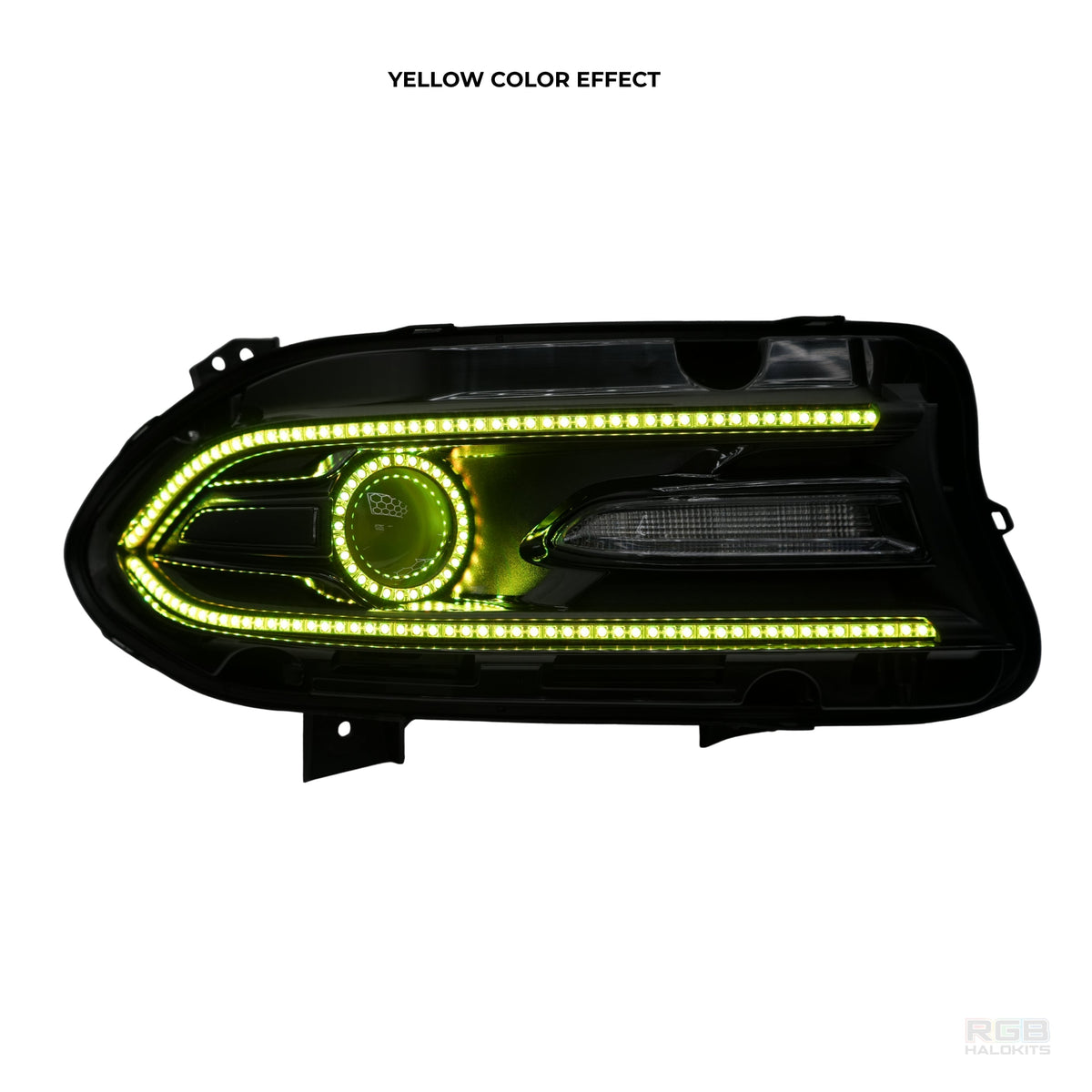 Dodge Charger: Multicolor Flow Series Halo Headlights (2015–2023) – Custom Multicolor LED Lighting by RGB Halo Kits