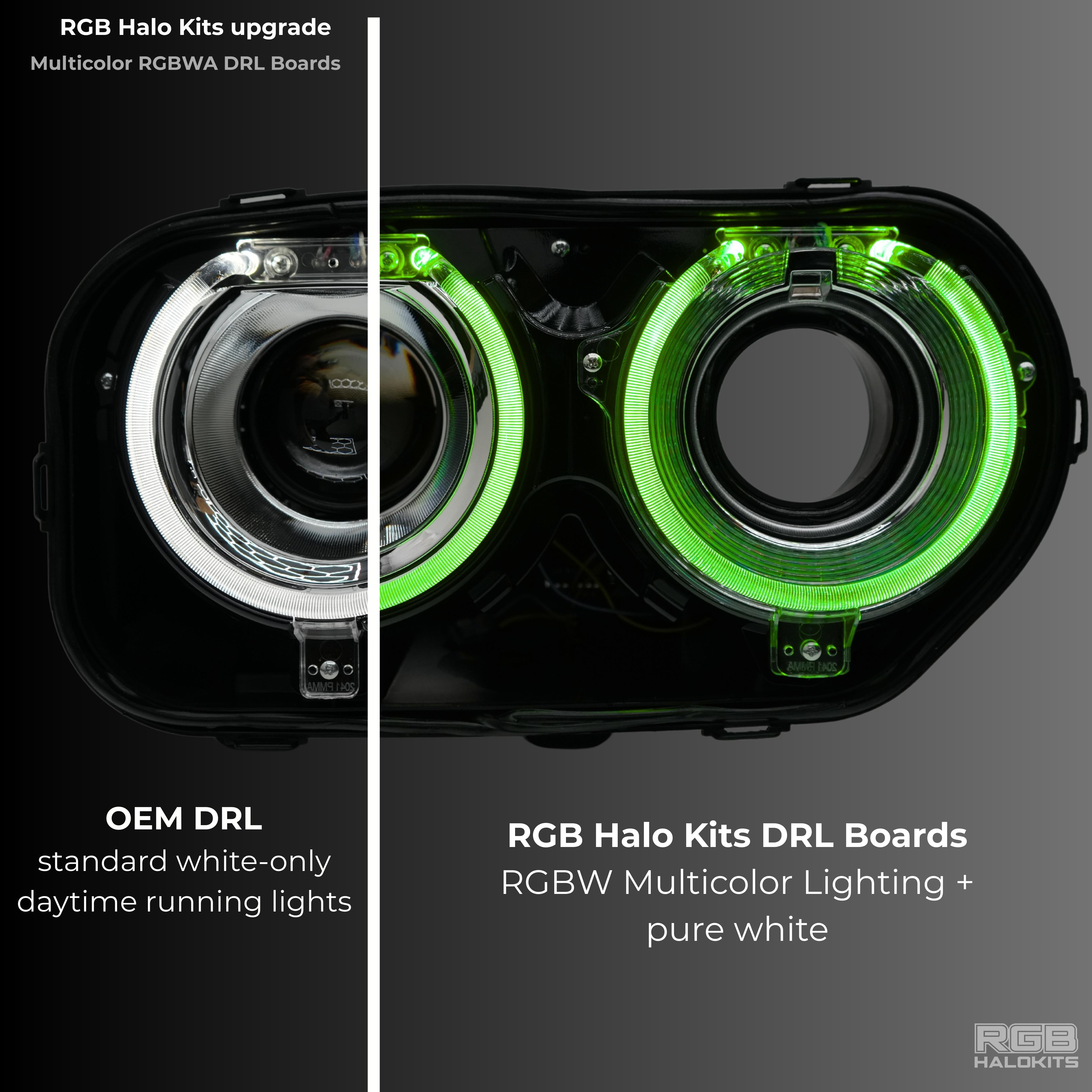 Dodge Challenger RGBW DRL Boards (2015-2023) – Custom Multicolor LED Lighting by RGB Halo Kits