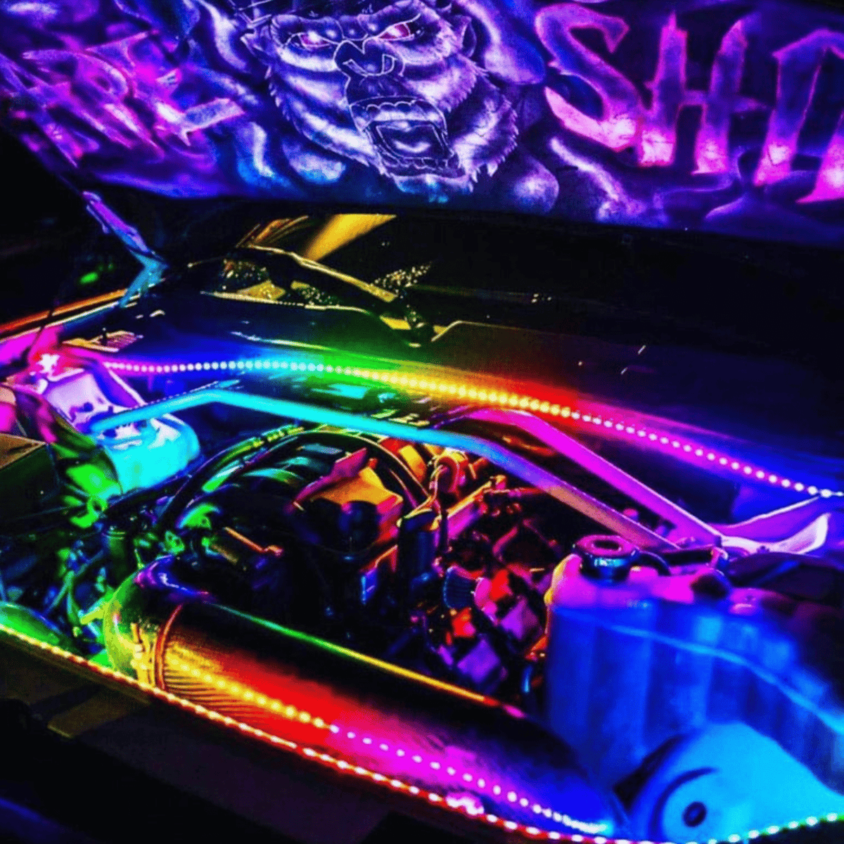 Engine Bay Multicolor Lighting Kit – Custom Multicolor LED Lighting by RGB Halo Kits