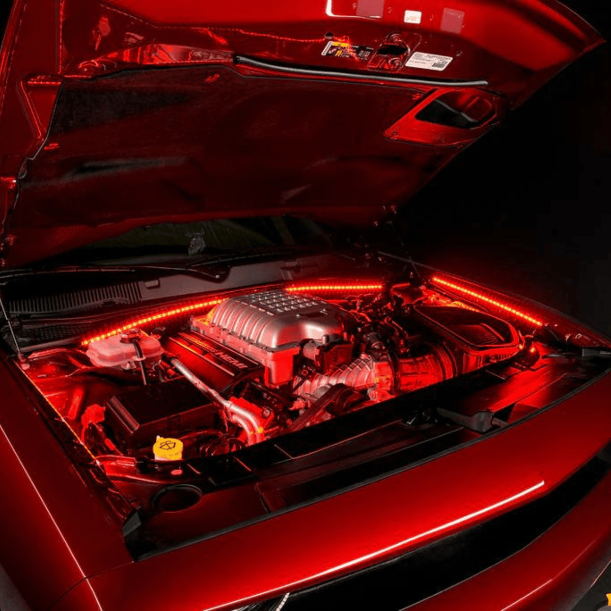 Engine Bay Multicolor Lighting Kit – Custom Multicolor LED Lighting by RGB Halo Kits