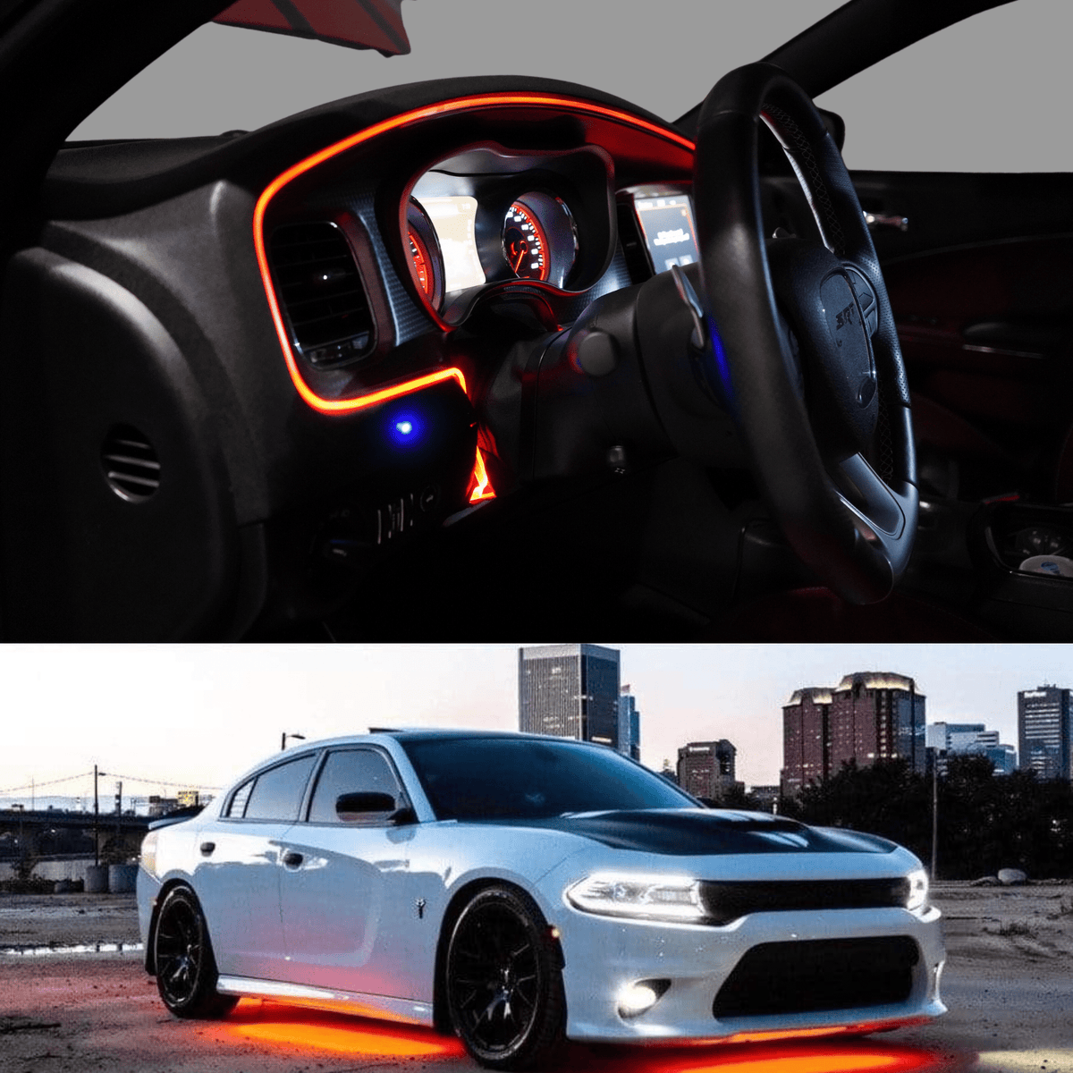 Elite Glow Bundle – Custom Multicolor LED Lighting by RGB Halo Kits