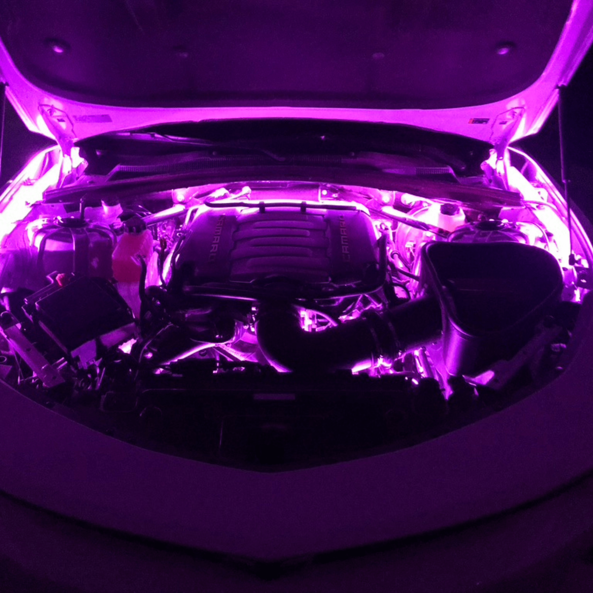 Engine Bay Multicolor Lighting Kit – Custom Multicolor LED Lighting by RGB Halo Kits