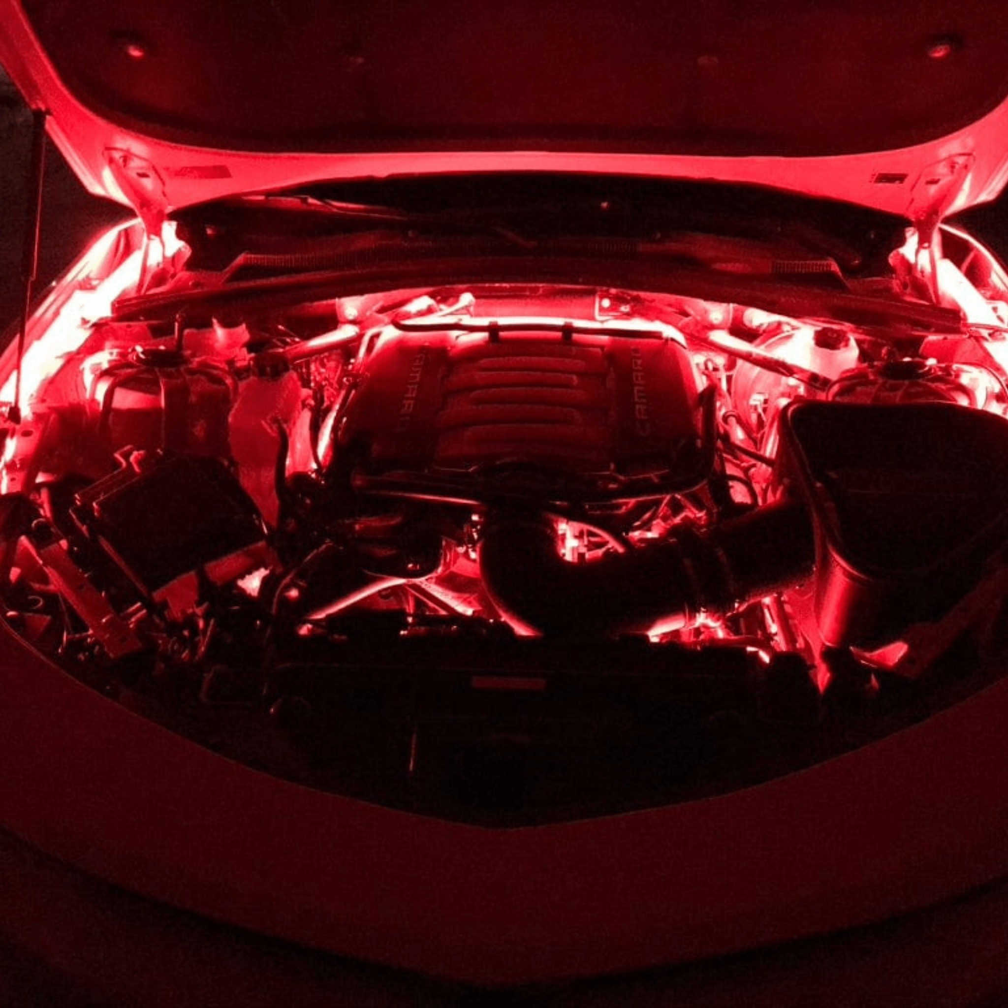 Engine Bay Multicolor Lighting Kit – Custom Multicolor LED Lighting by RGB Halo Kits