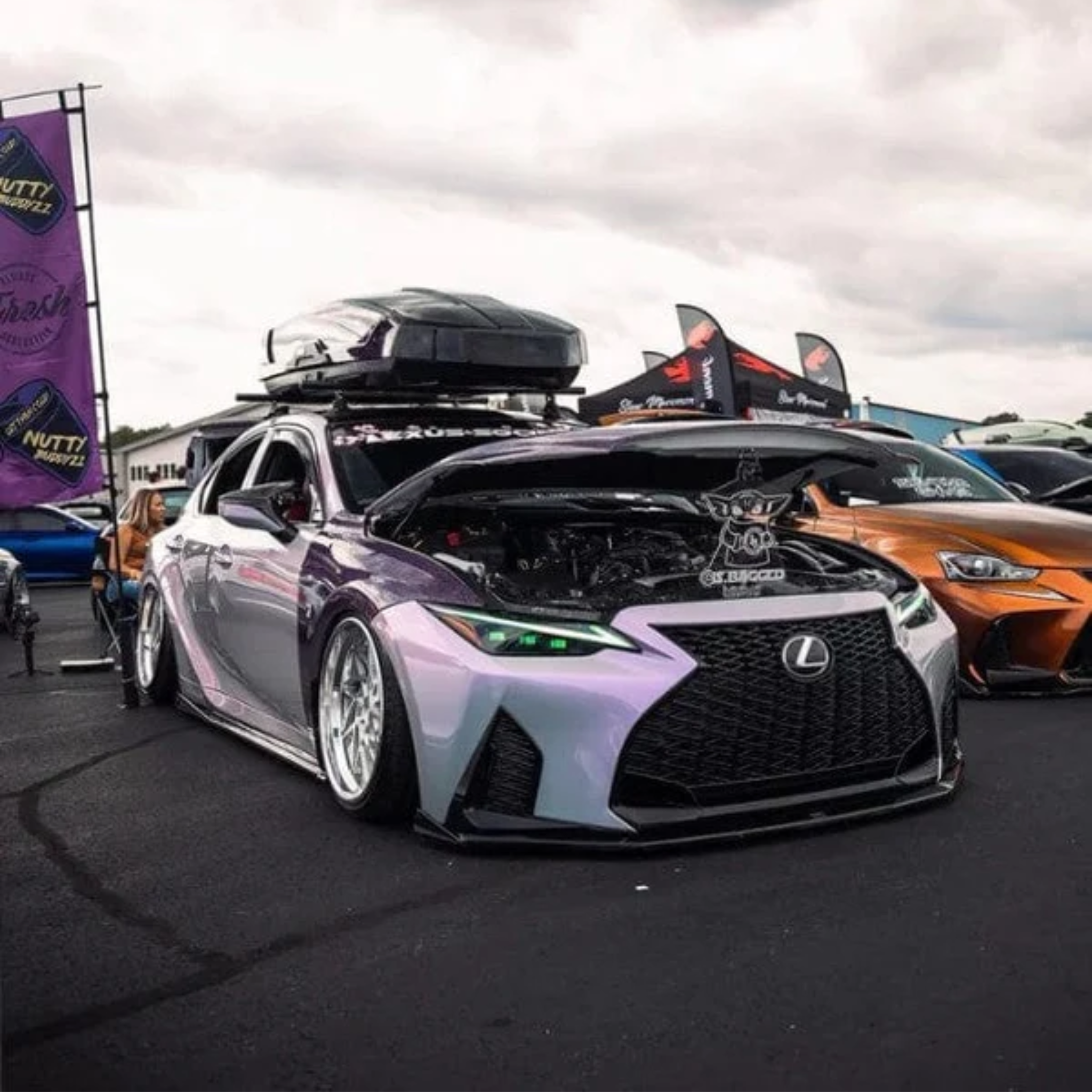 Lexus IS Multicolor DRL Boards (2021-2023)