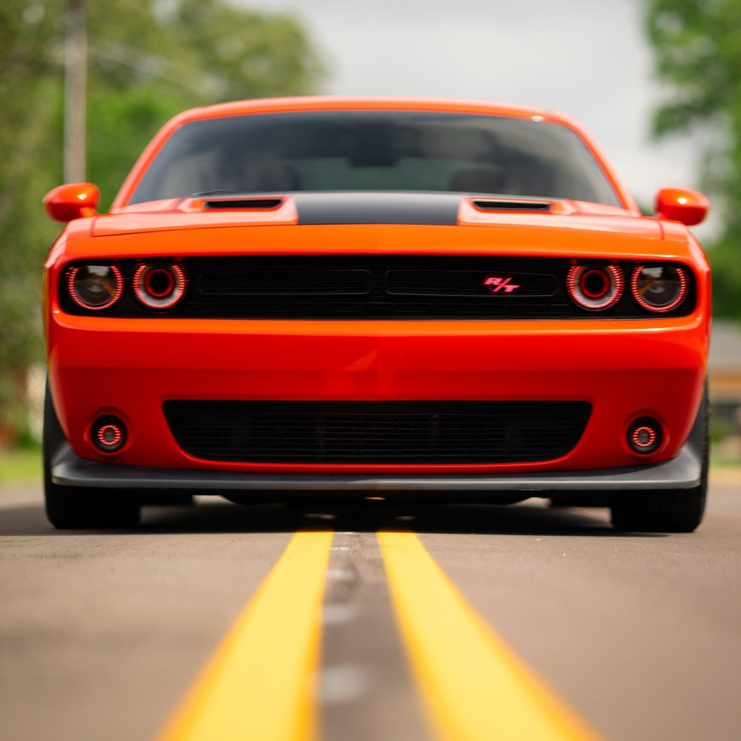 RT LED Badge: (Multicolor Flow) – Custom Multicolor LED Lighting by RGB Halo Kits