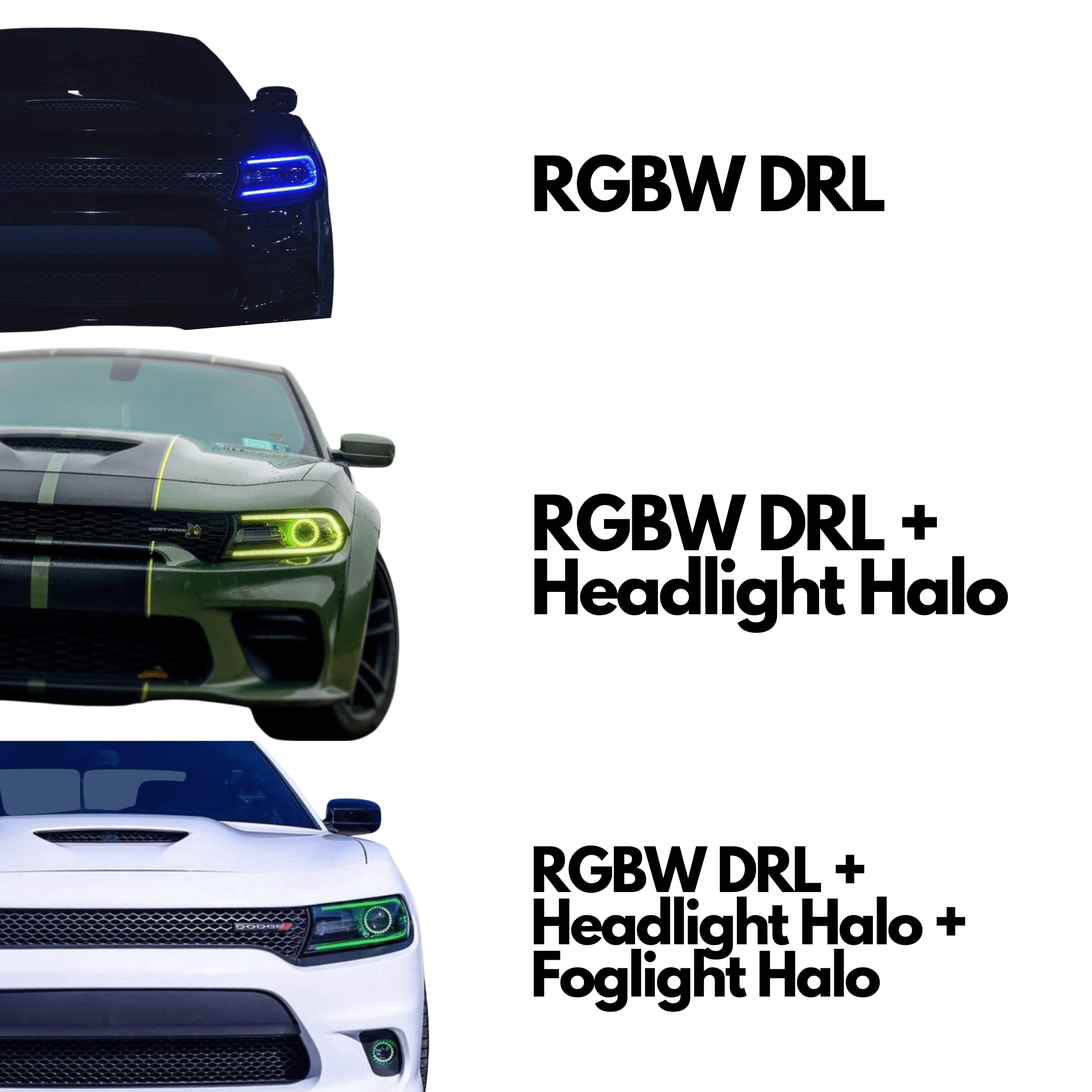 2015-2023 Dodge Charger RGBW DRL Boards - RGB Halo Kits Multicolor Flow Series Color Chasing RGBWA LED headlight kit Oracle Lighting Trendz OneUpLighting Morimoto theretrofitsource AutoLEDTech Diode Dynamics