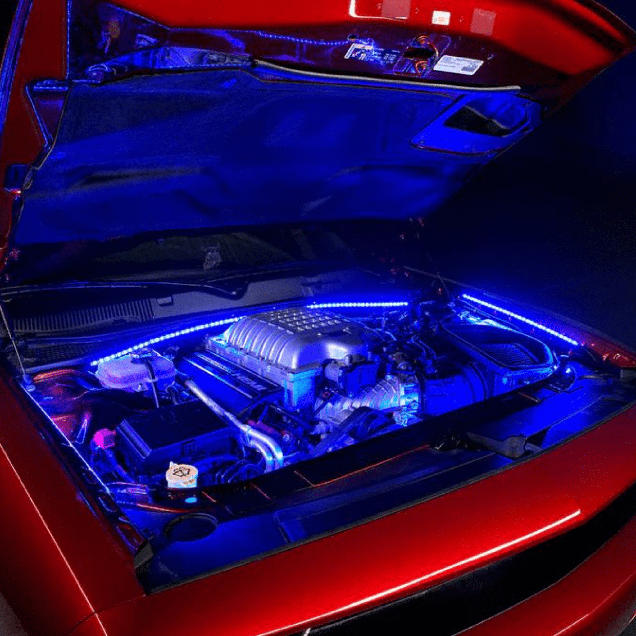 Engine Bay Multicolor Lighting Kit - RGB Halo Kits Multicolor Flow Series Color Chasing RGBWA LED headlight kit Oracle Lighting Trendz OneUpLighting Morimoto theretrofitsource AutoLEDTech Diode Dynamics