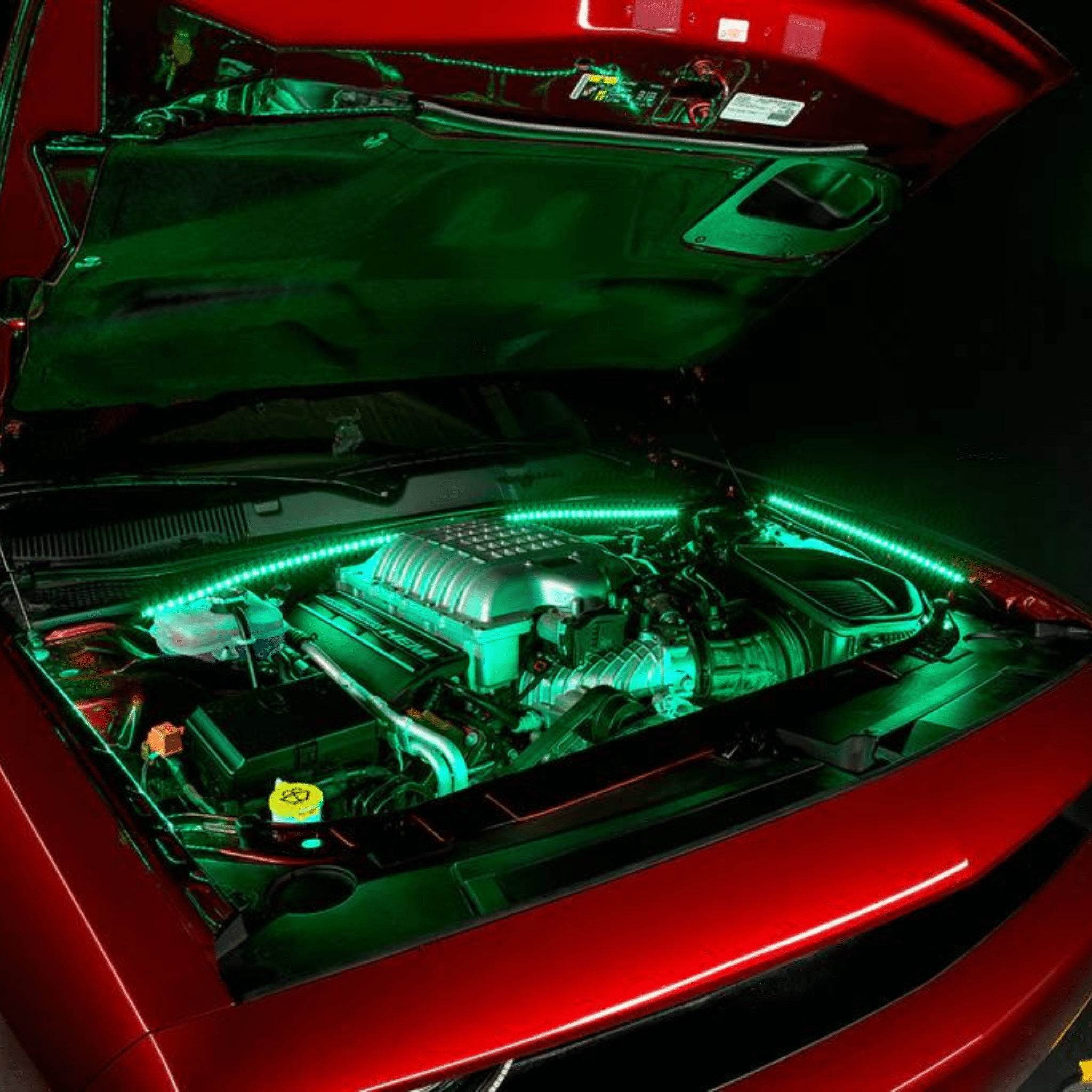 Engine Bay Multicolor Lighting Kit - RGB Halo Kits Multicolor Flow Series Color Chasing RGBWA LED headlight kit Oracle Lighting Trendz OneUpLighting Morimoto theretrofitsource AutoLEDTech Diode Dynamics