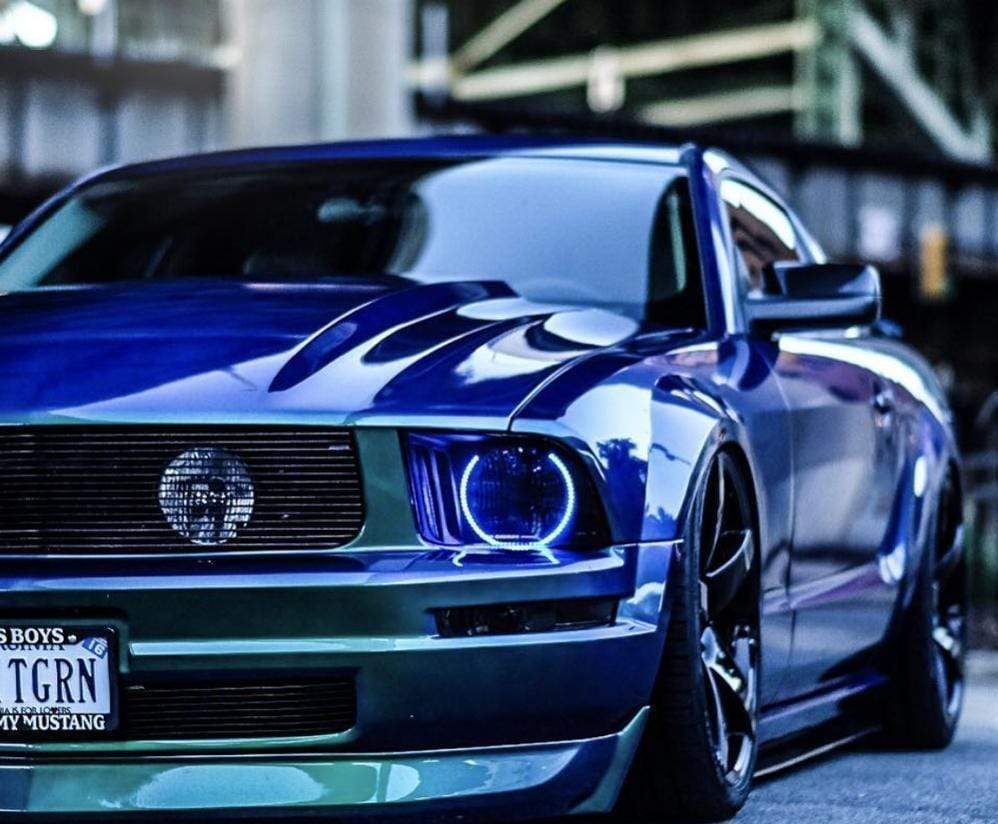colorwerkz Halo Kits 2005-2009 Ford Mustang colorwerkz Halo Kit