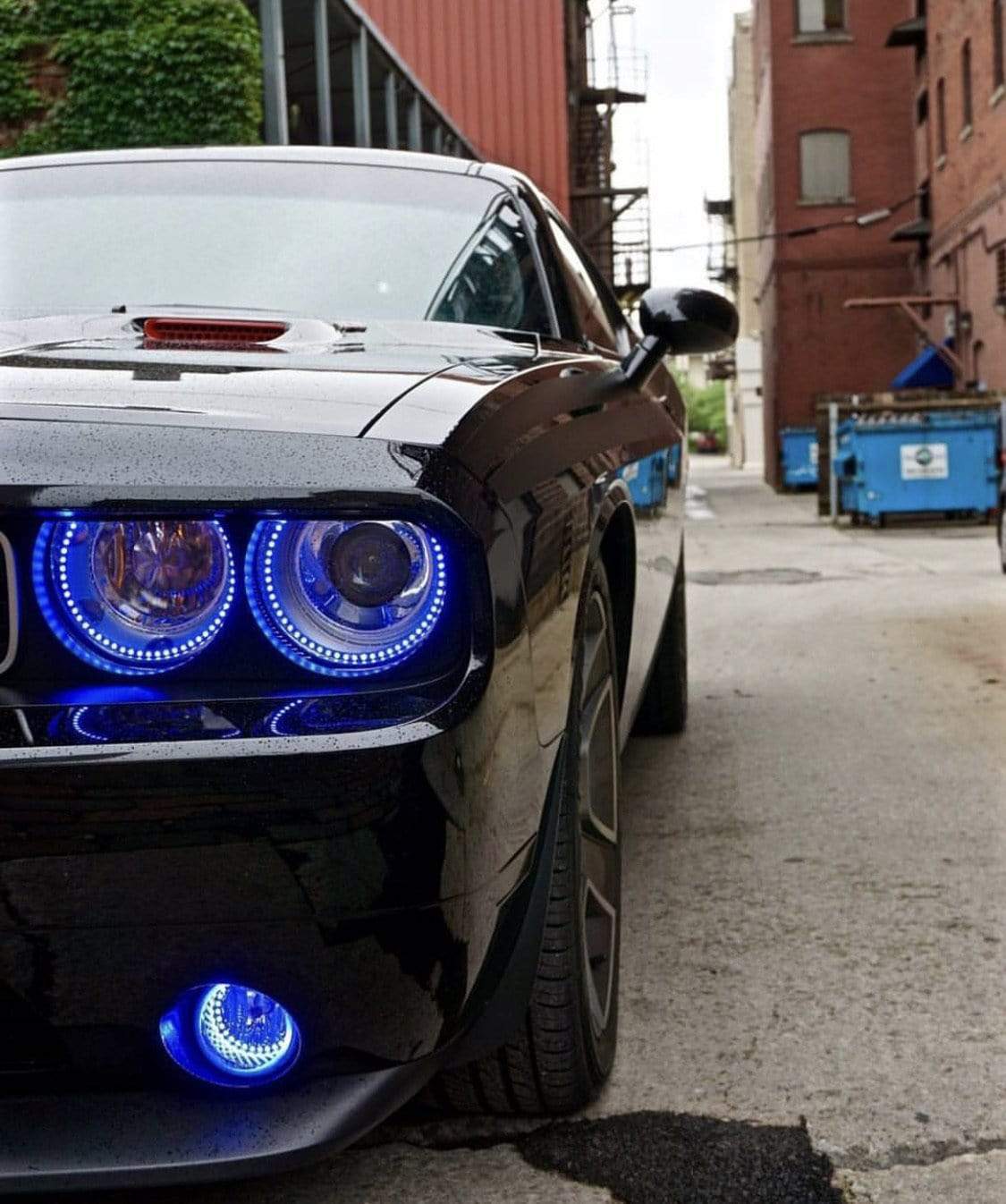 colorwerkz Halo Kits 2008-2014 Dodge Challenger Waterproof Exterior Mount Halo Kit