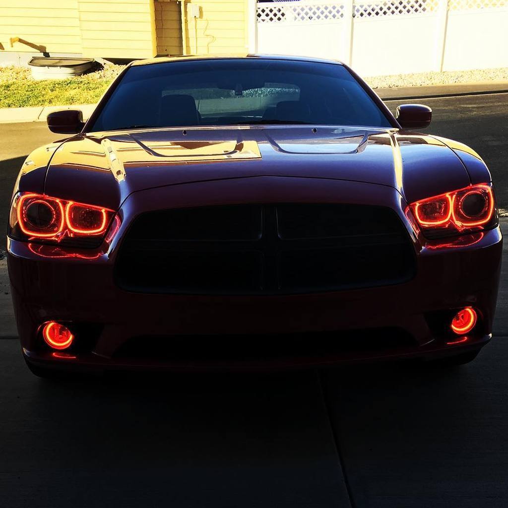 colorwerkz Halo Kits 2011-2014 Dodge Charger colorwerkz Halo Kit