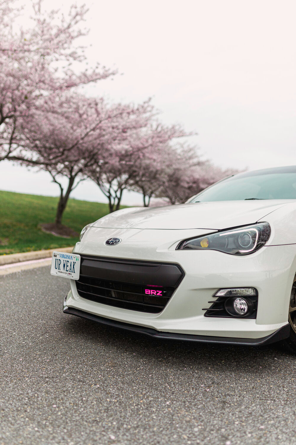 LitLogos Lit Logos BRZ Badge