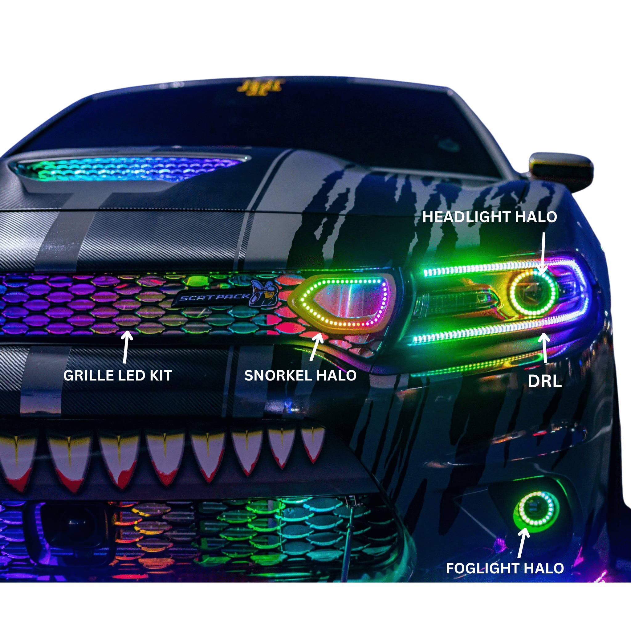 2015-2023 Dodge Charger Flow Series DRL Boards - RGB Halo Kits Multicolor Flow Series Color Chasing RGBWA LED headlight kit Oracle Lighting Trendz OneUpLighting Morimoto theretrofitsource AutoLEDTech Diode Dynamics